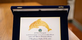 Delfino d'Oro 2024 Carmagnola bando 2026
