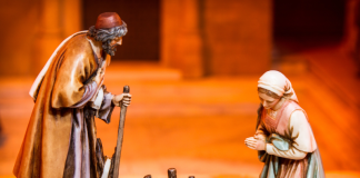 presepe Vinovo