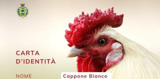 Moretta Fiera Cappone