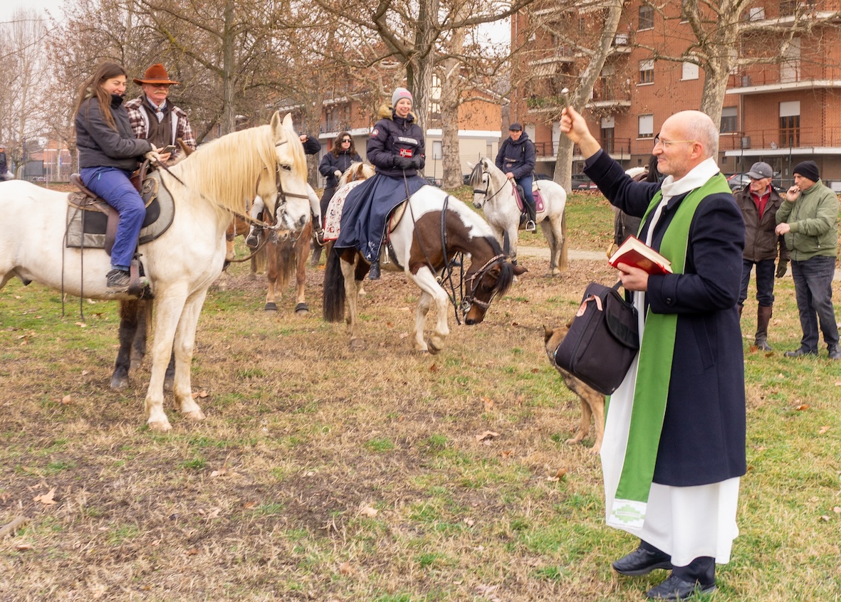 festa sant'antonio animali benedizione carmagnola