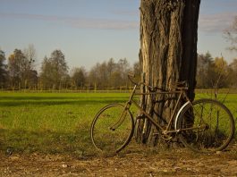 Polonghera Bici in Comune