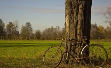 Polonghera Bici in Comune