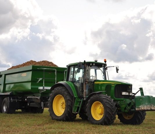 A Faule la Giornata del Ringraziamento 2025 Faule Giornata Ringraziamento