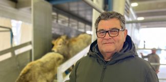 fiera di primavera carmagnola