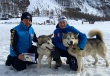 castagnolesi sleddog