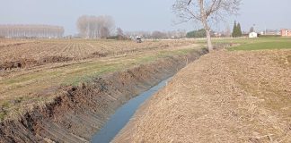 Piobesi fossi