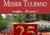 Messer Tulipano 25° edizione