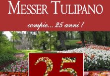 Messer Tulipano 25° edizione
