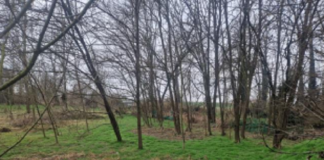 Oasi api Racconigi