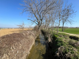 riqualificazione tepice Santena Cambiano