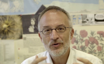 Stefano Mancuso Vinovo