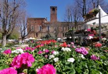 ortoflora carmagnola 2025