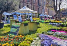 eventi ortoflora 2025 carmagnola