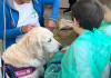 pet-therapy Santa Croce Moncalieri