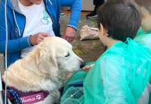 pet-therapy Santa Croce Moncalieri