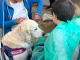 ApidiCarta al Salone del Libro per raccontare il progetto di Pet Therapy in pediatria ApidiCarta salone libro