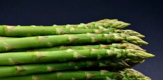Santena volontari Sagra Asparagi