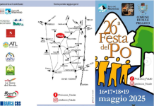 Faule Po Festa