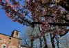 Comune di Carmagnola
