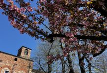 Comune di Carmagnola