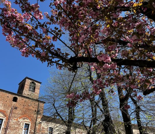 «Nel 2027 in arrivo 13 nuovi dipendenti per il Comune di Carmagnola» nuovi dipendenti comune carmagnola