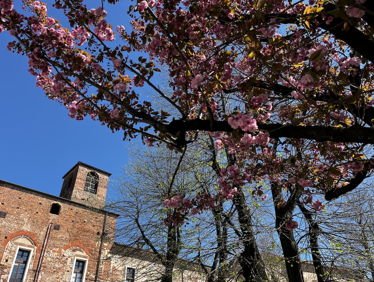 Comune di Carmagnola