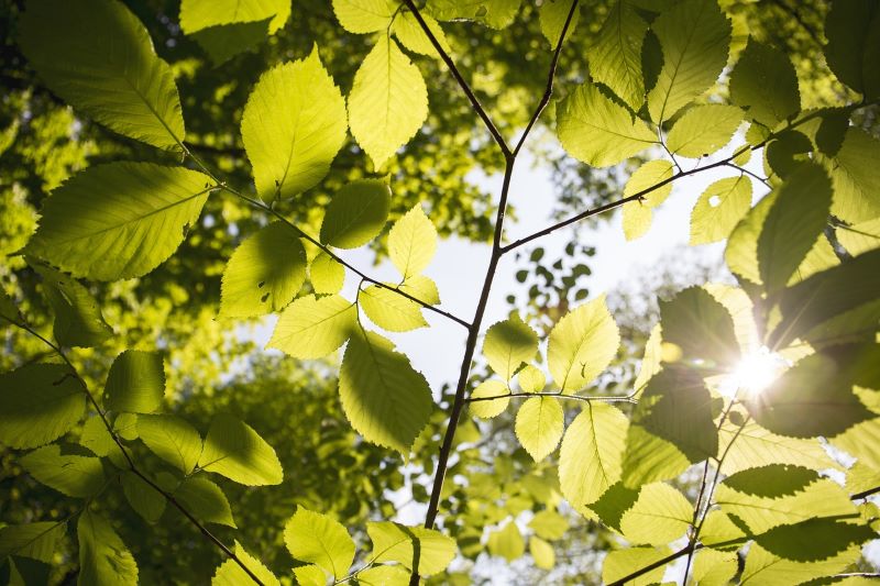 Piobesi in Gioco: nuove Missioni Green