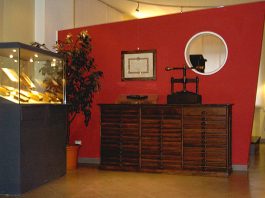 musei carmagnola
