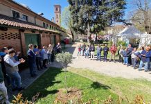 ulivo pace carmagnola