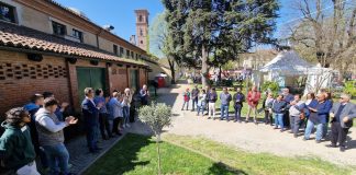 ulivo pace carmagnola