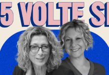 Villastellone dibattito referendum