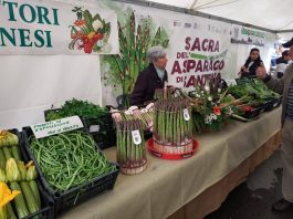 Santena Sagra dell'asparago
