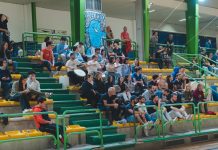 delfini basket playout