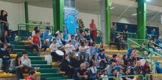 delfini basket playout