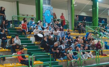 delfini basket playout