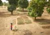 Santena Senegal