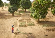 Santena Senegal