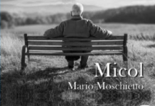 Micol autore cambiano