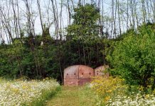giugno munlab