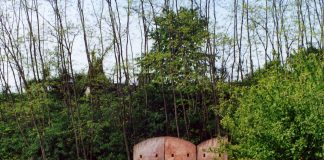 giugno munlab