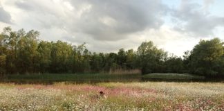 esplorazione munlab cambiano