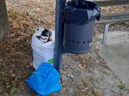 abbandono rifiuti virle piemonte