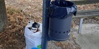 abbandono rifiuti virle piemonte
