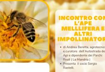 Casalgrasso api impollinatori