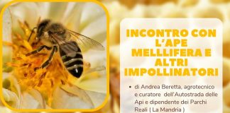 Casalgrasso api impollinatori