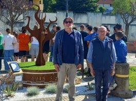 Avis “Arpino”