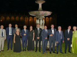 Lions Villastellone