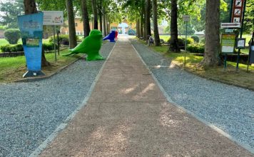 parco accessibile carmagnola