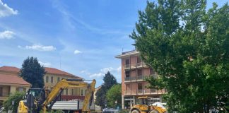 alberi piazza martiri santena