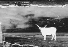 Alberto Cipolla presenta a Torino il suo nuovo album Alberto Cipolla nuovo disco Torino